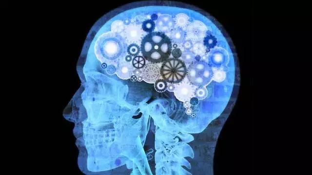 Philosophy of Mind