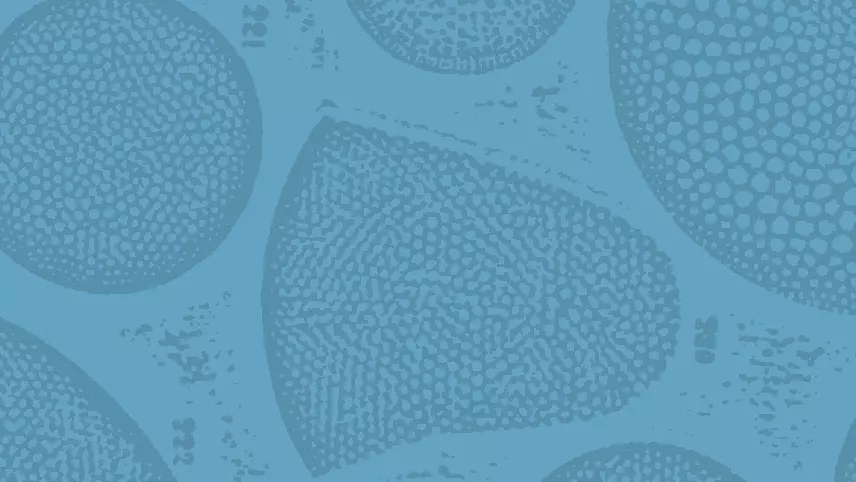 prize blue cells listing image