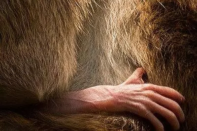 gentle grip